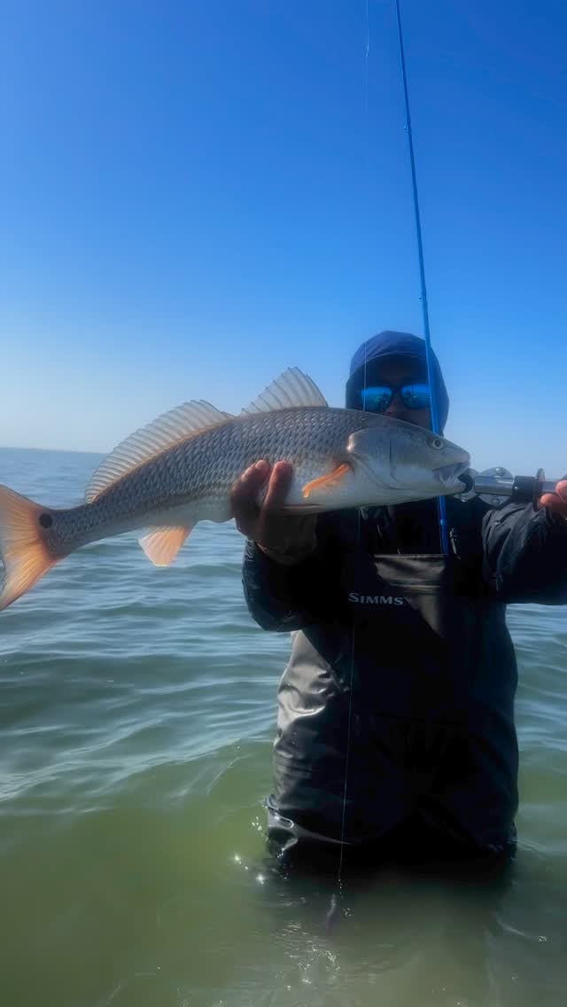 Angler holding a redfish caught on artificial lures
